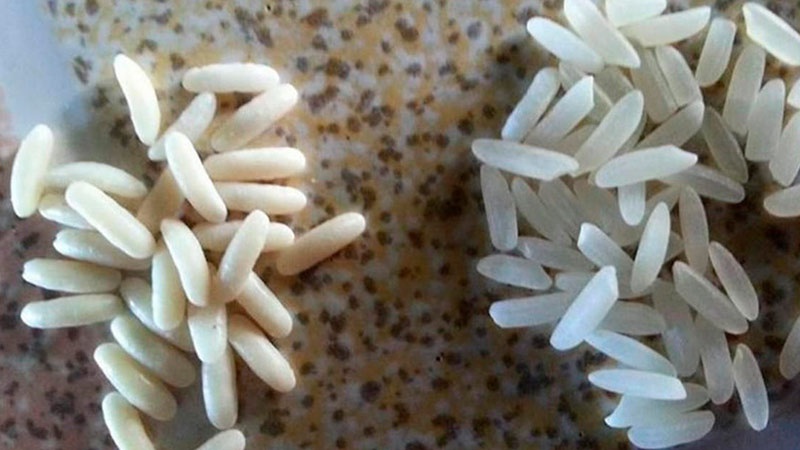 Китайці роблять рис з крохмалю та пластика