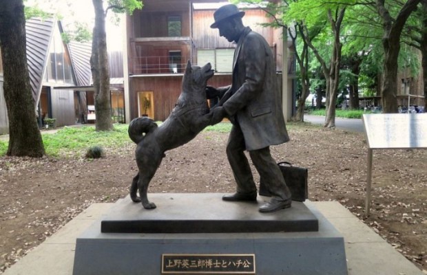 Пам’ятник Хатіко в Японії