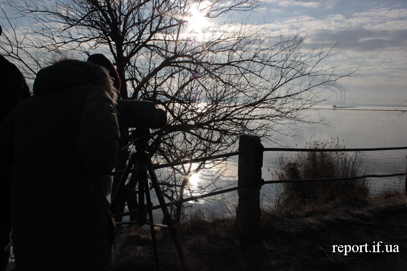 Туристи приїздять до Бурштинського водосховища поспостерігати за рідкісними птахами