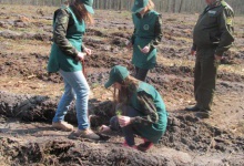 Гектар нового лісу створили у  Любешівському районі  школярі і учасники АТО