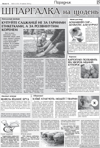 Сторінка № 15 | Газета «ВІСНИК+К» № 16 (1151)