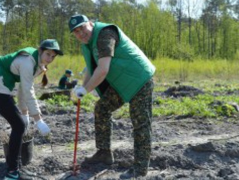 Під час Всеукраїнської акції «Майбутнє лісу у твоїх руках» відтворено майже 25 тис. га лісу