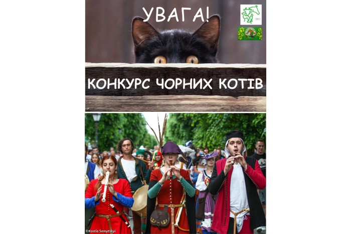 Лучан запрошують на конкурс-парад чорних котів