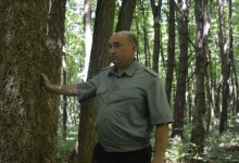 У  Горохівському лісі  росте рідкісне коркове дерево