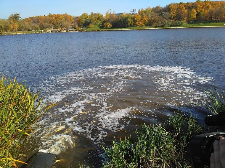 На Рівненщині в озері знайшли холероподібний вібріон