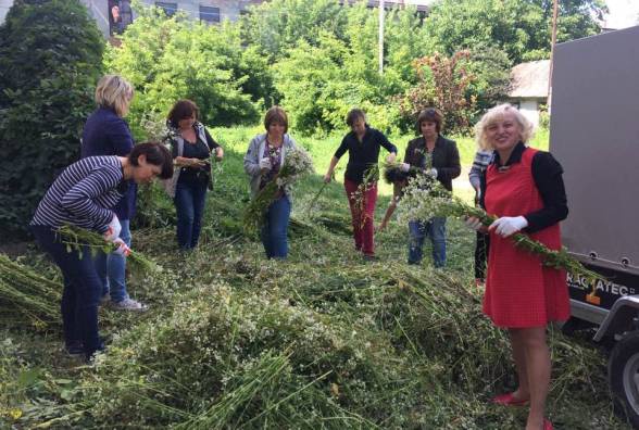 На Тернопільщині плетуть найбільший в Україні Купальський вінок