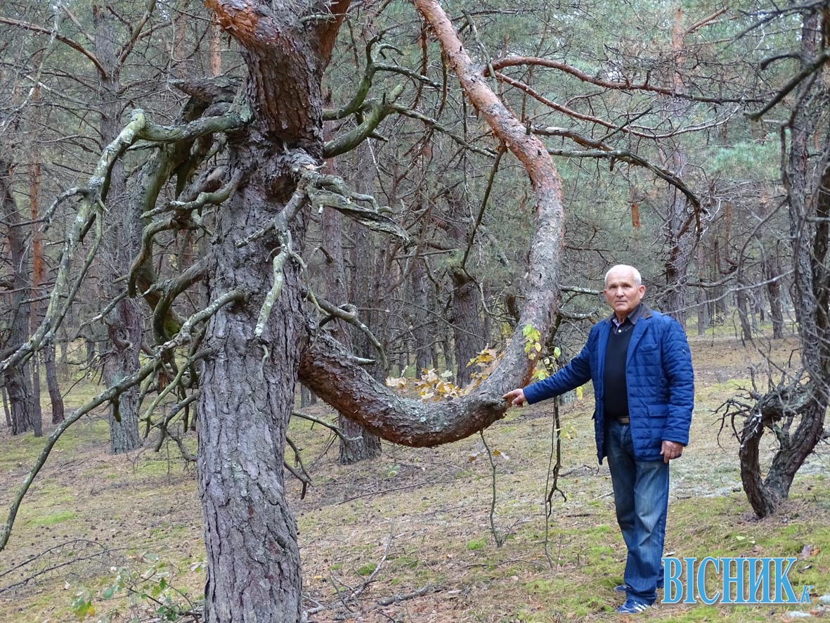 Валерій ПНЕВСЬКИЙ біля покручених дерев