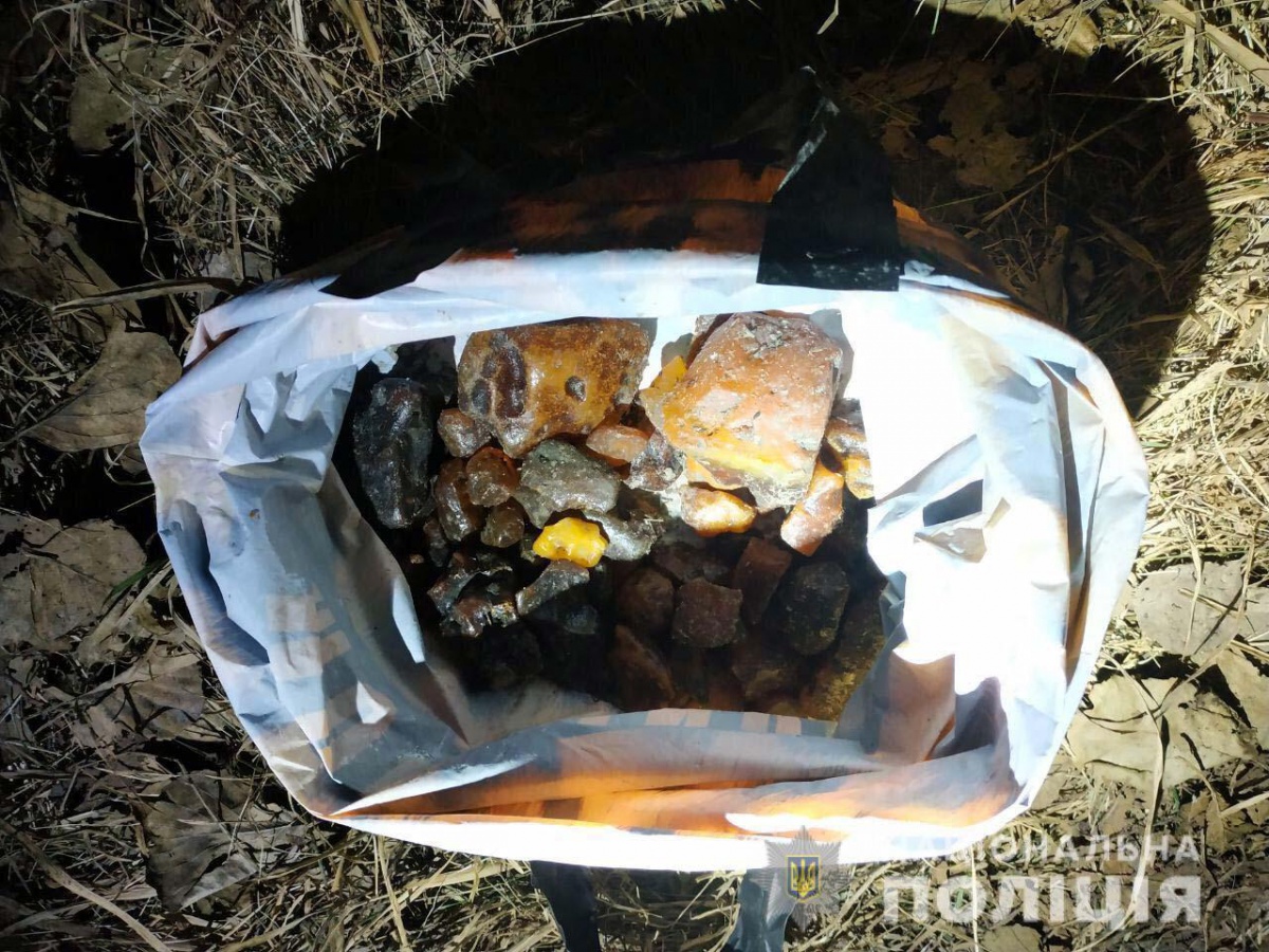 На Рівненщині поліцейські вилучили два кілограми бурштину та мотопомпу