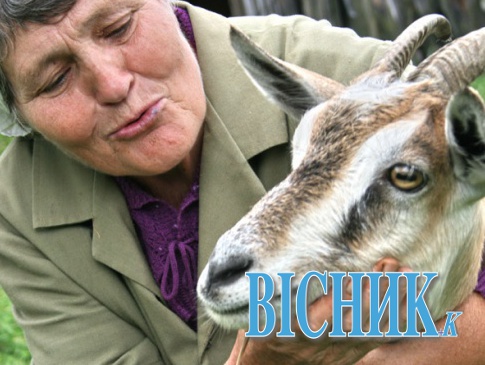Водила українську козу до білоруського козла на любов