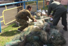 Волинська рибоохорона знищила 412 одиниць заборонених знарядь лову