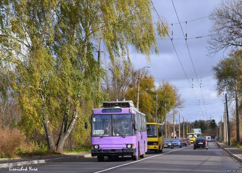 У Луцьку «скоротили» тролейбусні маршрути №8 і №9