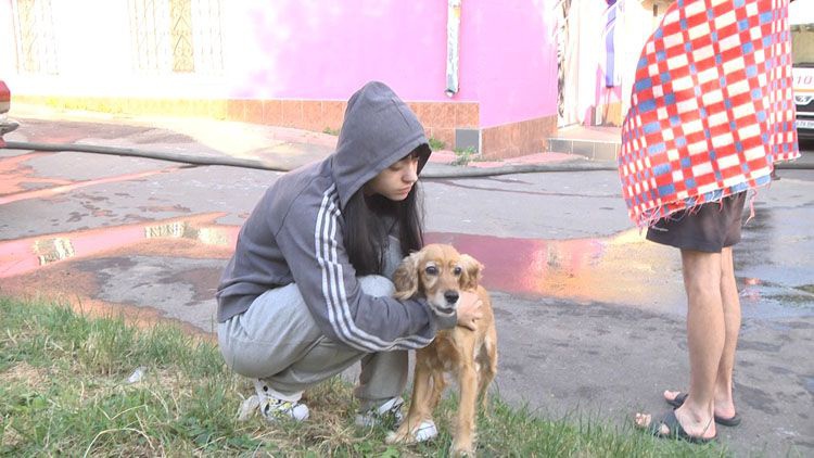 У Хмельницькому собака допомоміг врятувати людей з пожежі