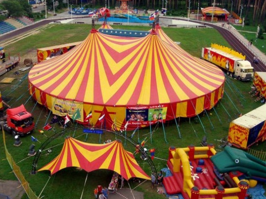 У Ковелі планують заборонити пересувні цирки із тваринами