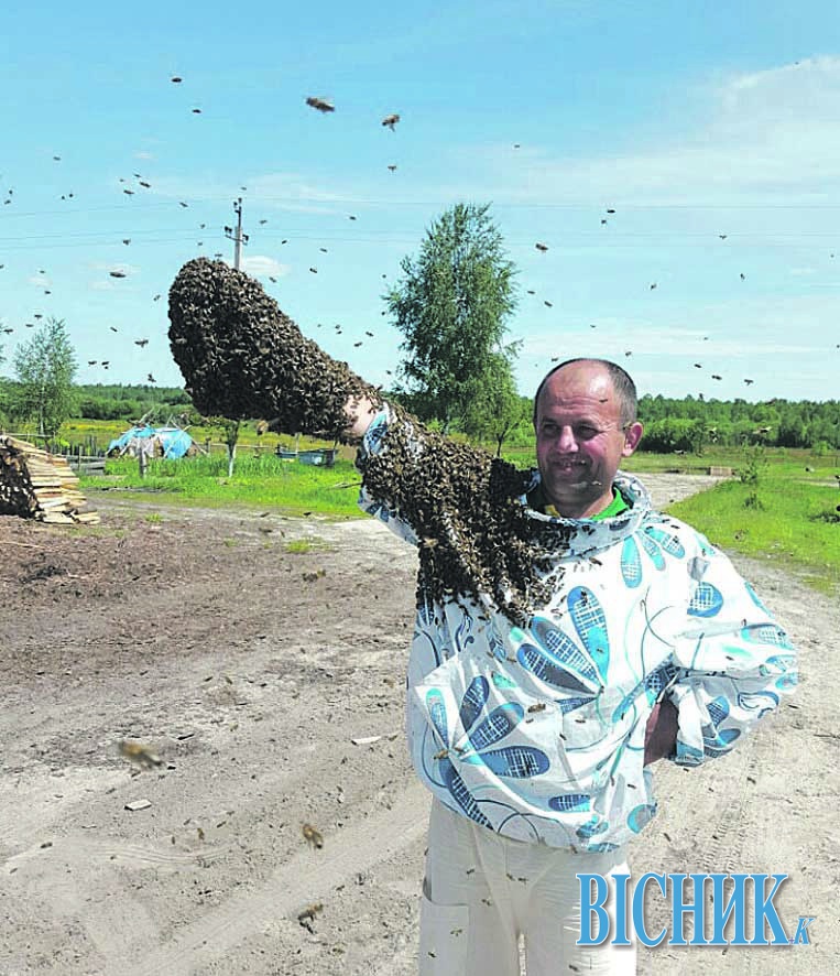Віктор МАРТИНЮК так ловить бджіл