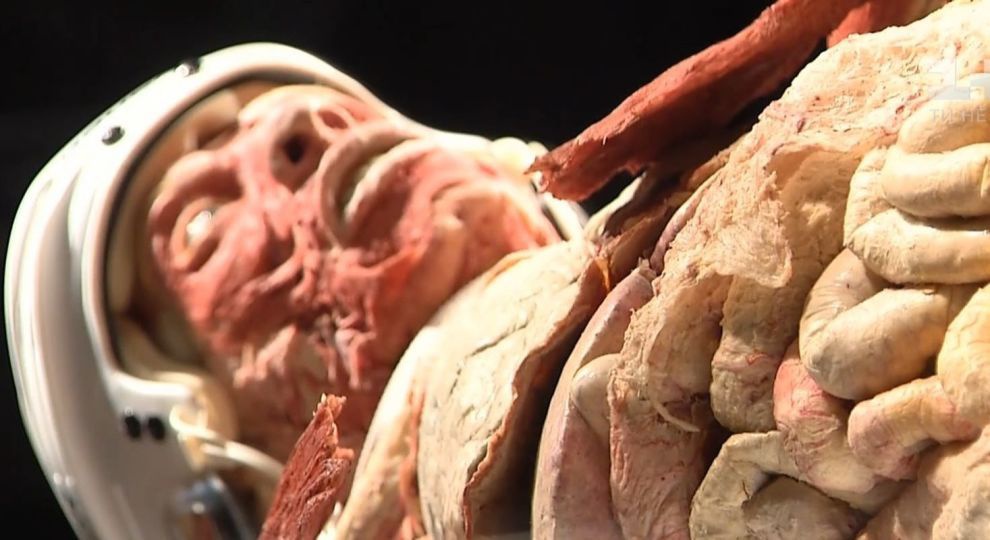 У Києві - скандальна виставка законсервованих людських тіл