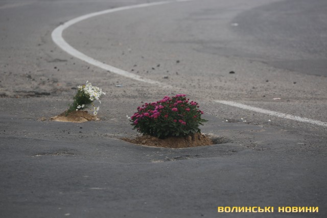 При в'їзді в Луцьк в ямах на дорозі висадили квіти