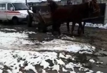 На Закарпатті «швидку» з пацієнтом тягнули коні