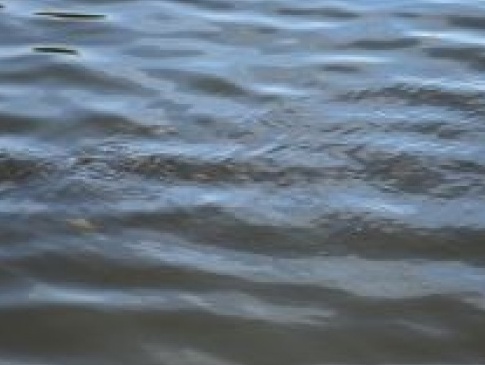 В озері на Львівщині знайшли тіло волинянина