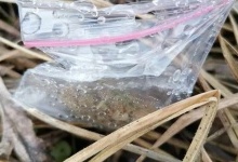 У луцькому парку знайшли близько 20 пакунків із марихуаною