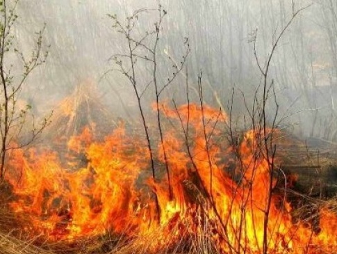 Львів’янка загинула під час спалювання трави