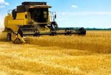 «Влада нас не чує», - голова Асоціації фермерів Волині про земельну реформу