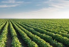 Пустелі, ГМО–соя і онко. Це чекає українців?