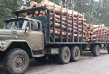 На Волині вилучили три вантажівки з деревиною