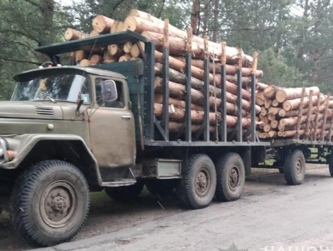 На Волині вилучили три вантажівки з деревиною