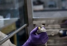 Працівники волинської птахофабрики захворіли на коронавірус