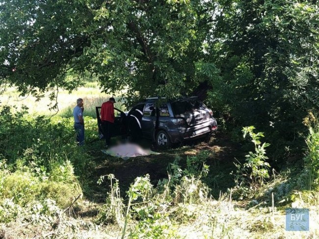 На Волині авто влетіло у дерево, водій загинув на місці