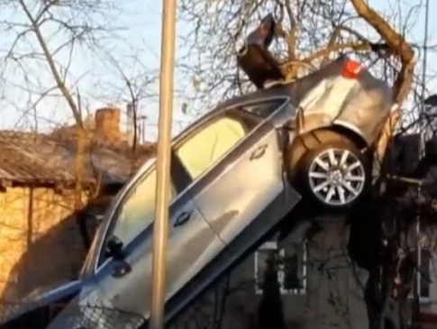 ДТП на Львівщині: автомобіль завис на дереві
