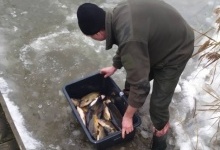 На Волині у водосховище випустили понад 2 тонни риби
