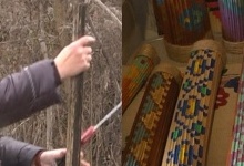 Лучанка виготовляє музичні інструменти з небезпечної рослини