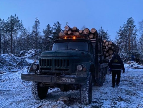 На Волині виявили вантажівку краденого лісу