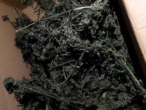 У волинянина вдома поліцейські вилучили ящик марихуани