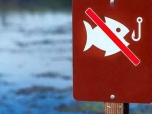На Волині з квітня заборонять ловити рибу