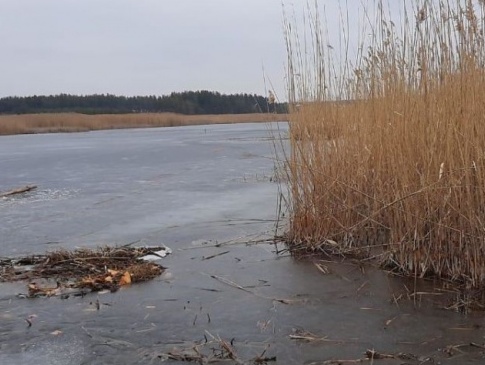 На Харківщині поховали 15-річного хлопця, який потонув, рятуючи собаку