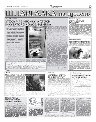 Сторінка № 15 | Газета «ВІСНИК+К» № 14 (1306)