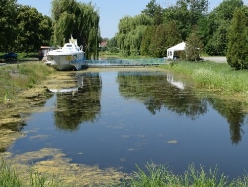 Луцьк витратить майже 700 тисяч на прочистку каналів у парку