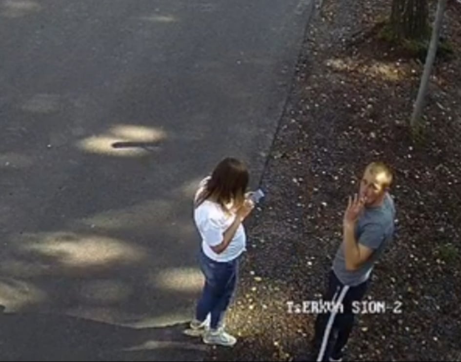 Опублікували відео з чоловіком, який забив камінням качку у парку в Луцьку