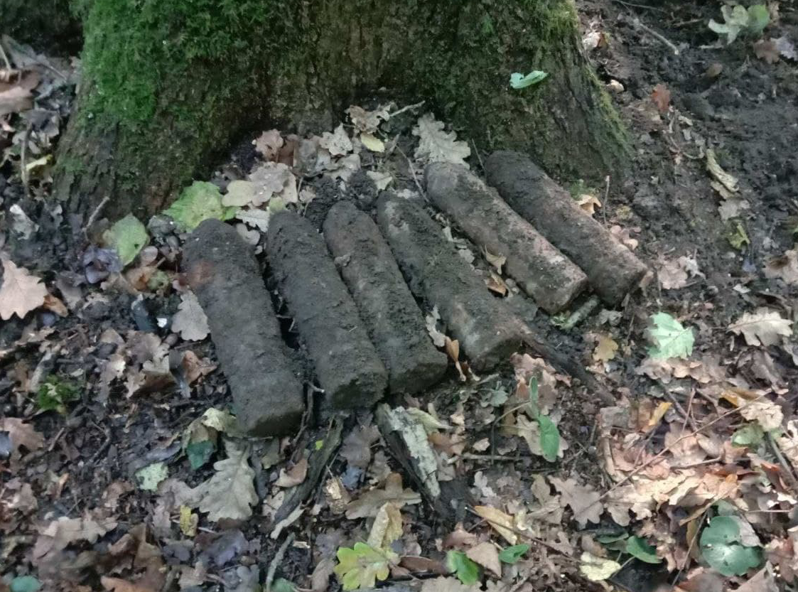 У лісі біля Луцька чоловік знайшов 6 артснарядів