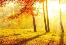 Погода 14 жовтня: День захисників та захисниць України буде сонячним і теплим