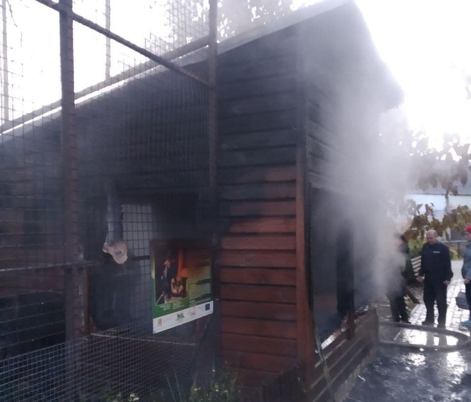 Через пожежу Луцький зоопарк не працюватиме два дні