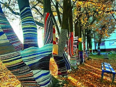 На Прикарпатті вчителька одягає дерева у барвисті «светри»