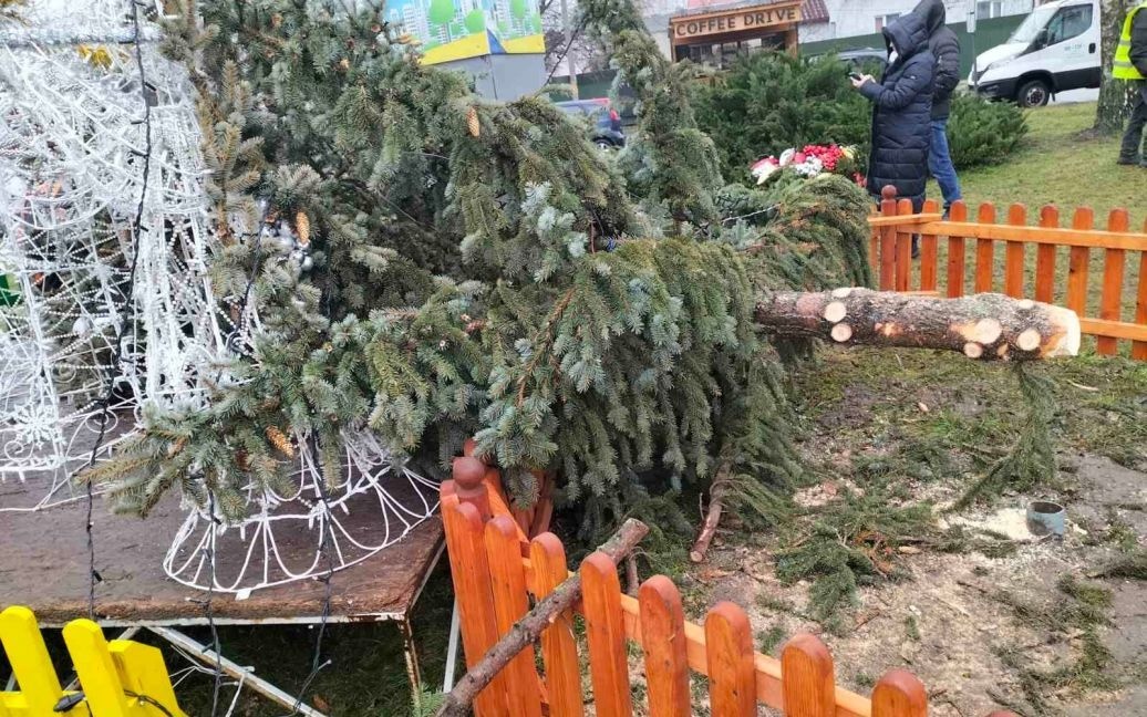 На Рівненщині вітер повалив новорічну ялинку