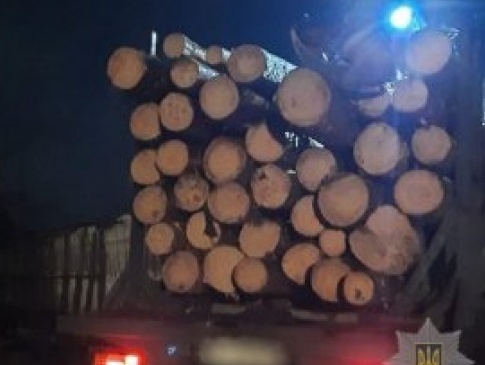 На Волині селянин незаконно зрізав понад 40 дерев