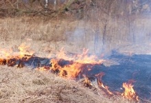 На Волині ліквідували 17 загорань сухої трави