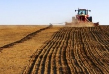 На Рівненщині аграріїв закликають сіяти більше пшениці та жита