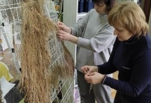 У Луцьку в бібліотеці плетуть «кікімори» для військових
