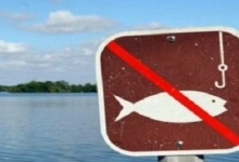 На Волині заборонять ловити рибу